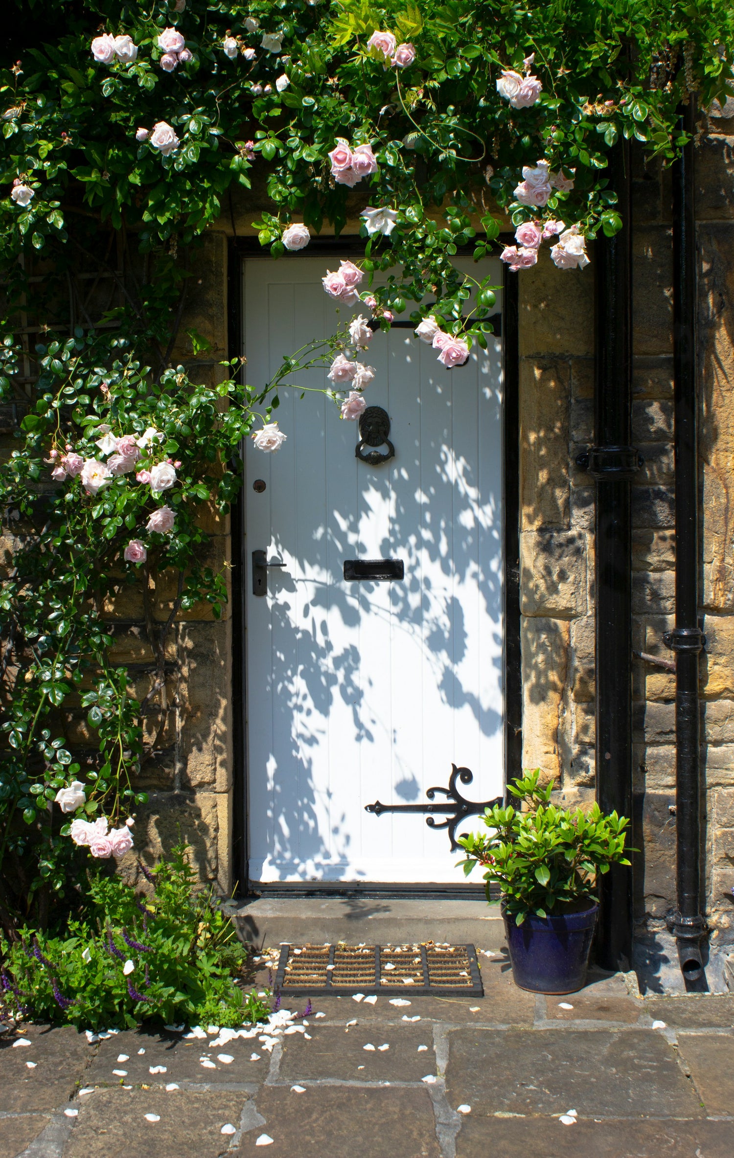 Cottage garden - blooming, bright, and cosy