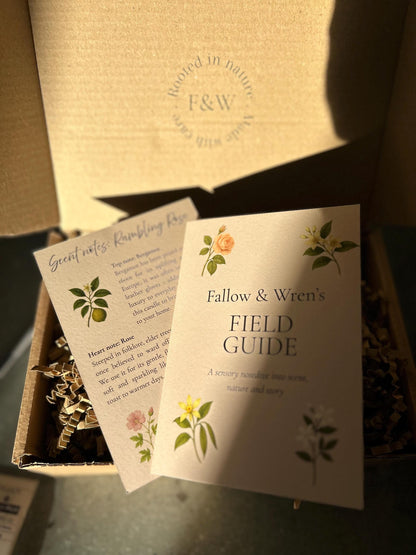 Elderflower and Honeysuckle Scented Candle